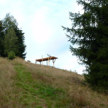 Ein Platz Fuer Ruhe Und Naturgenuss Sebnitz Esterno foto