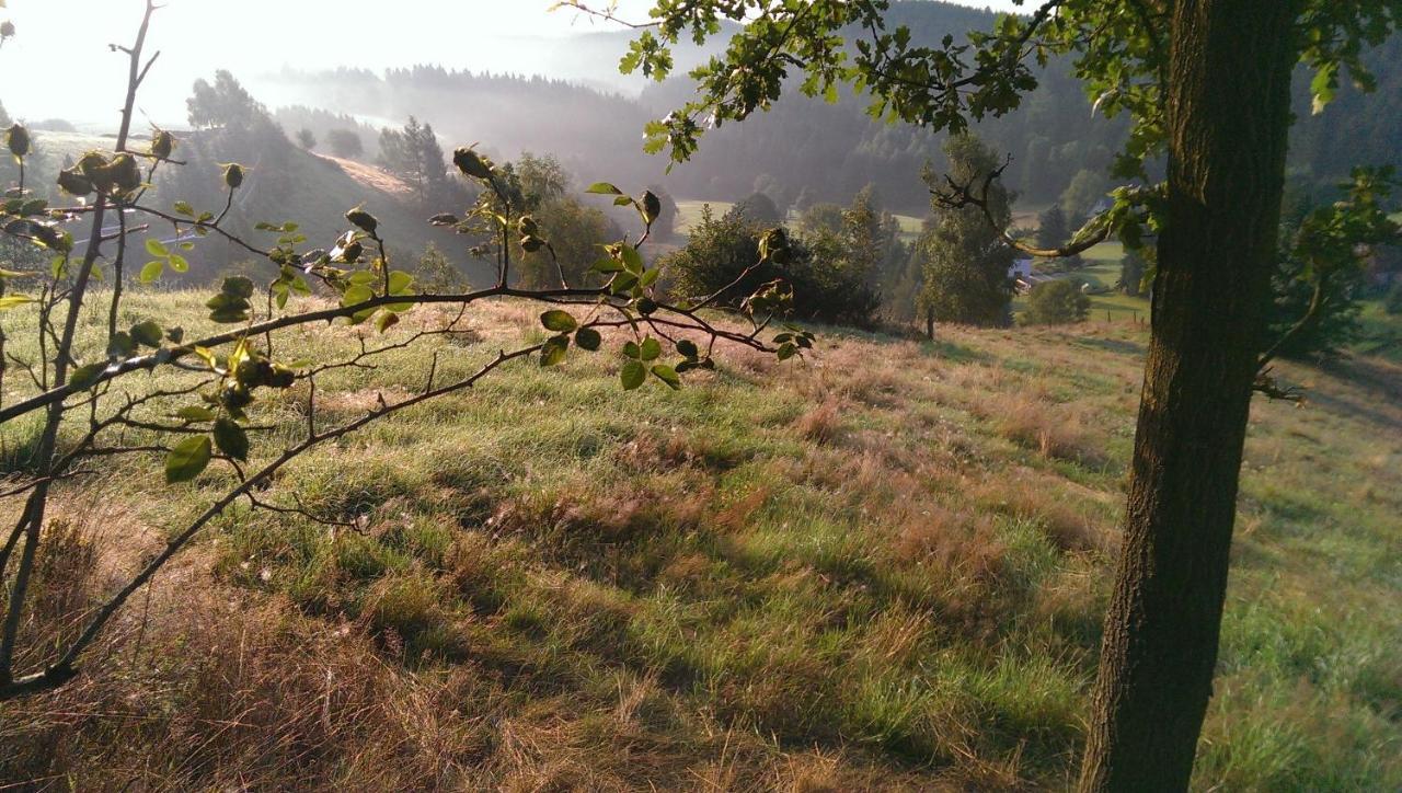 Ein Platz Fuer Ruhe Und Naturgenuss Sebnitz Esterno foto