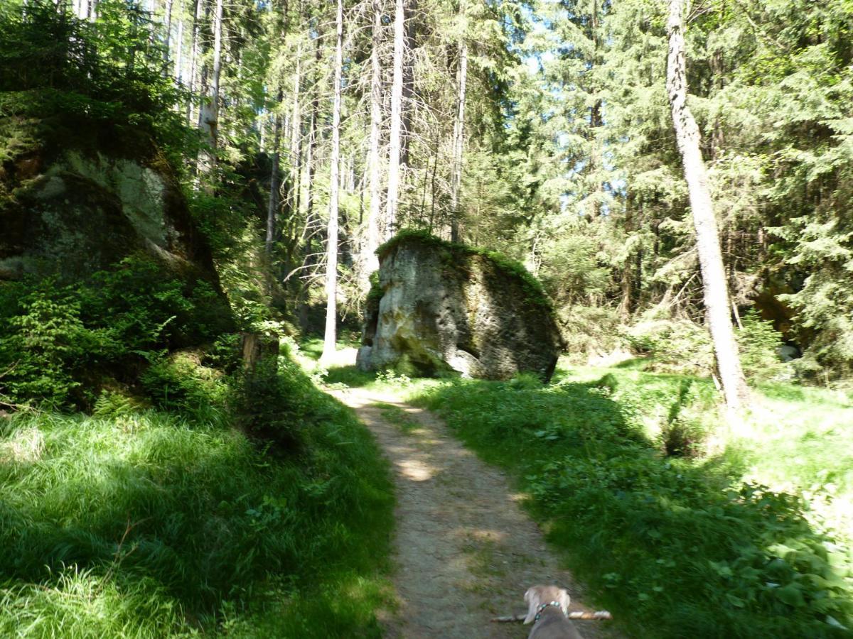 Ein Platz Fuer Ruhe Und Naturgenuss Sebnitz Esterno foto