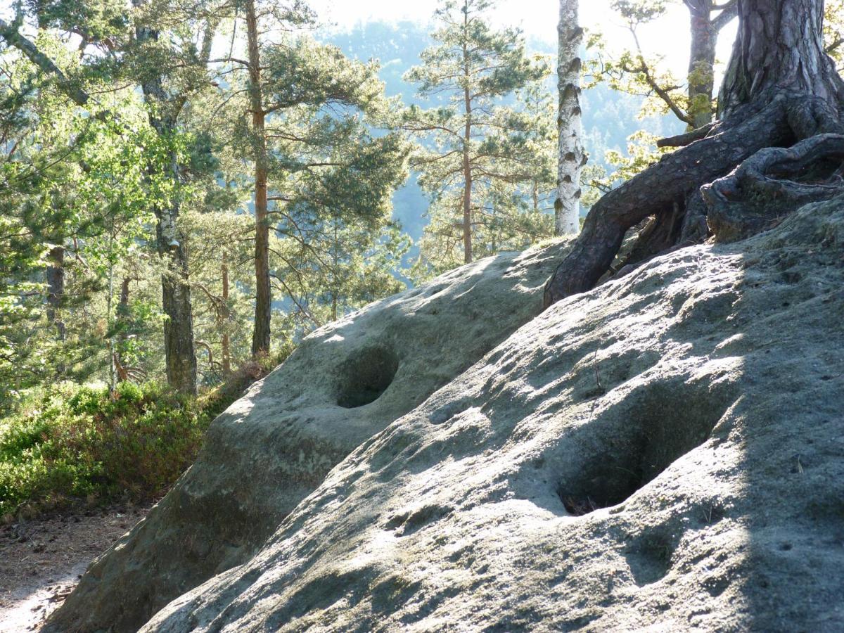 Ein Platz Fuer Ruhe Und Naturgenuss Sebnitz Esterno foto