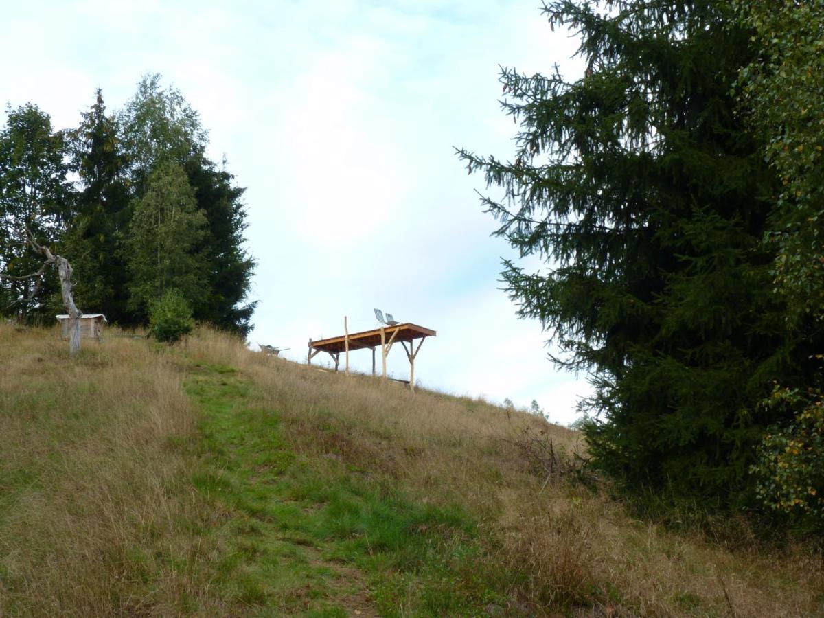 Ein Platz Fuer Ruhe Und Naturgenuss Sebnitz Esterno foto