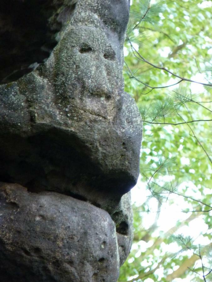 Ein Platz Fuer Ruhe Und Naturgenuss Sebnitz Esterno foto