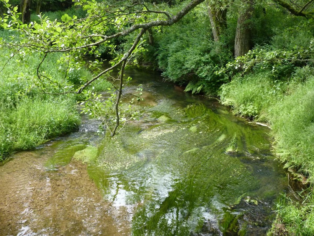 Ein Platz Fuer Ruhe Und Naturgenuss Sebnitz Esterno foto